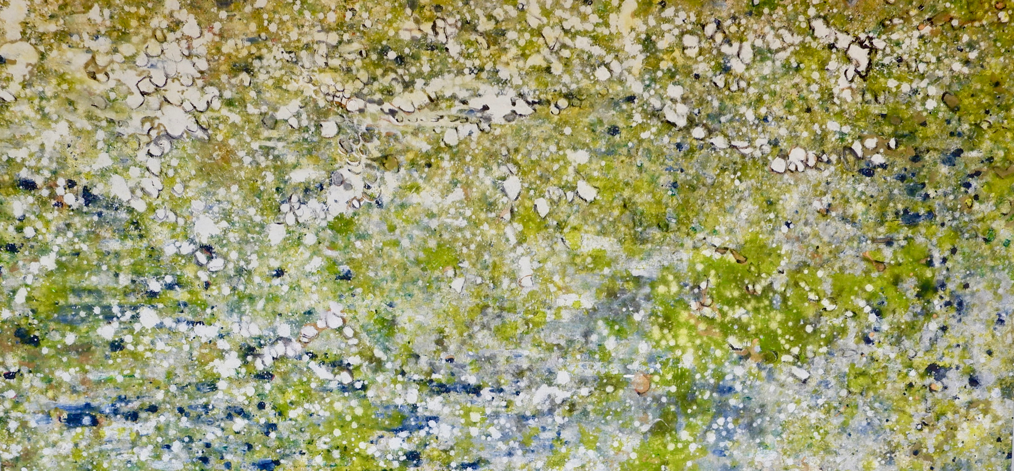Verde 13 A