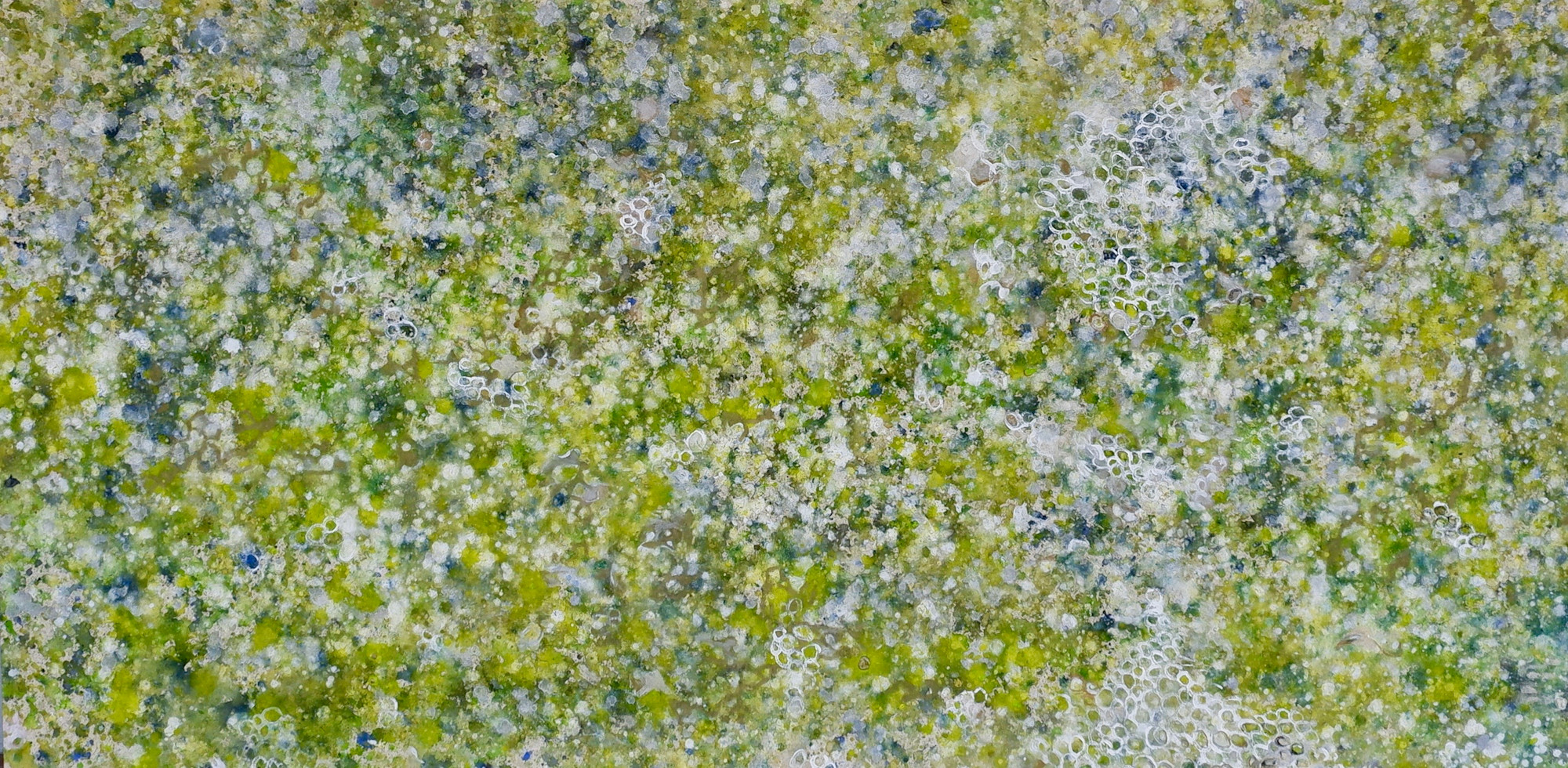 Verde 13 B